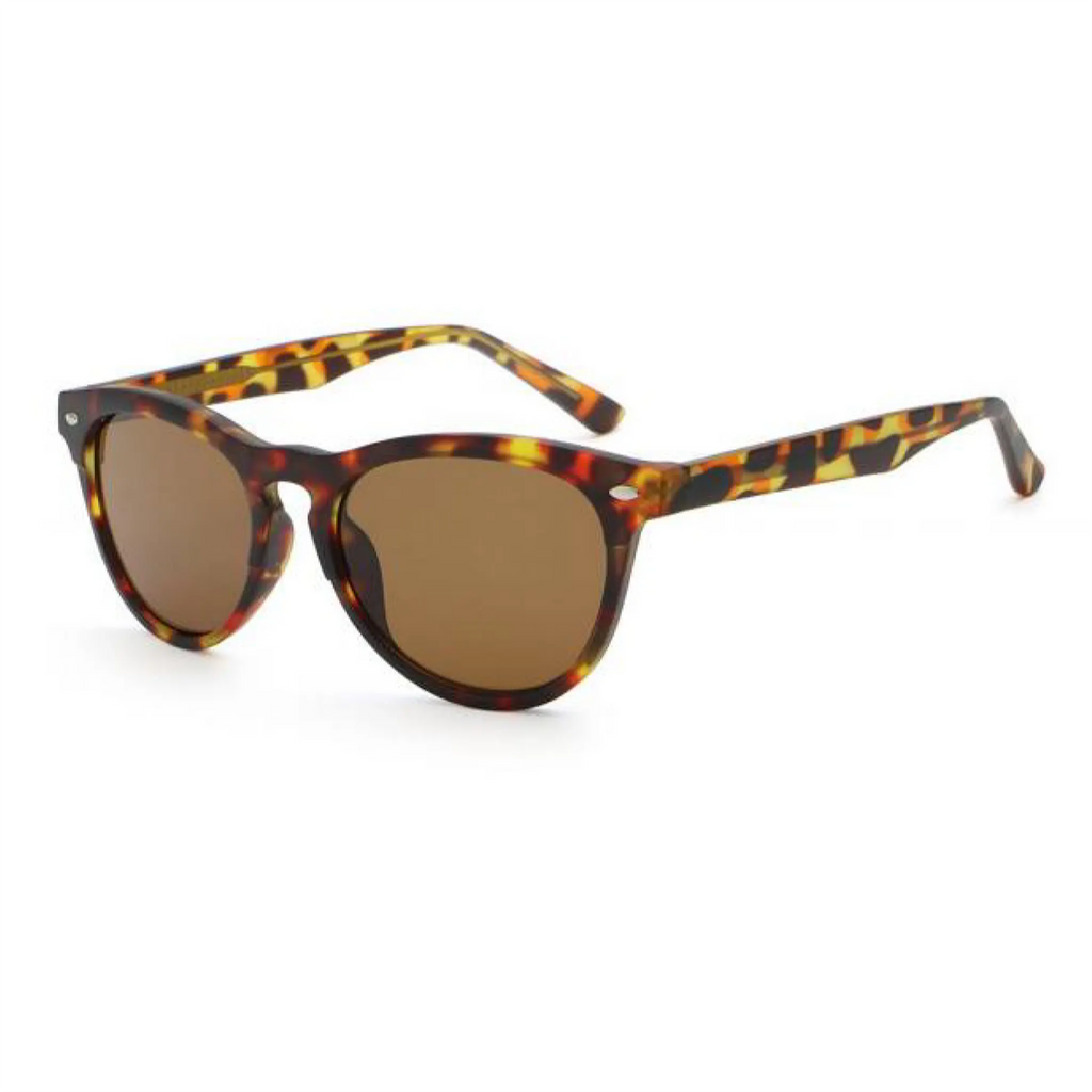 Cat-Eye PC JU-UM6812 Glasses Manufacturer - Joyiris